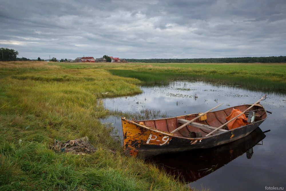 станция мудьюга архангельская область. мудьюга онежский район. мудьюга онежский район. мудьюга архангельская область онежский район. река мудьюга архангельская область.