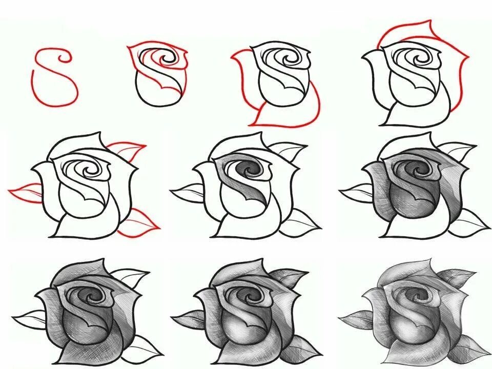 Как нарисовать розу. Рисунки карандашом. Нарисовать розу поэтапно. Рисование розы поэтапно. Можно научиться легко