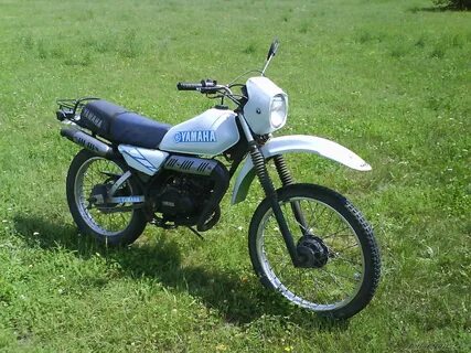 Dt 50