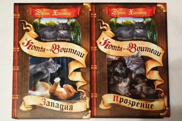Коты воители книга обещание метеора. Коты-воители. Коты воители обещание метеора. Обещание метеора. Эрин хантер коты воители.