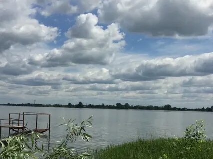 Хутор курган