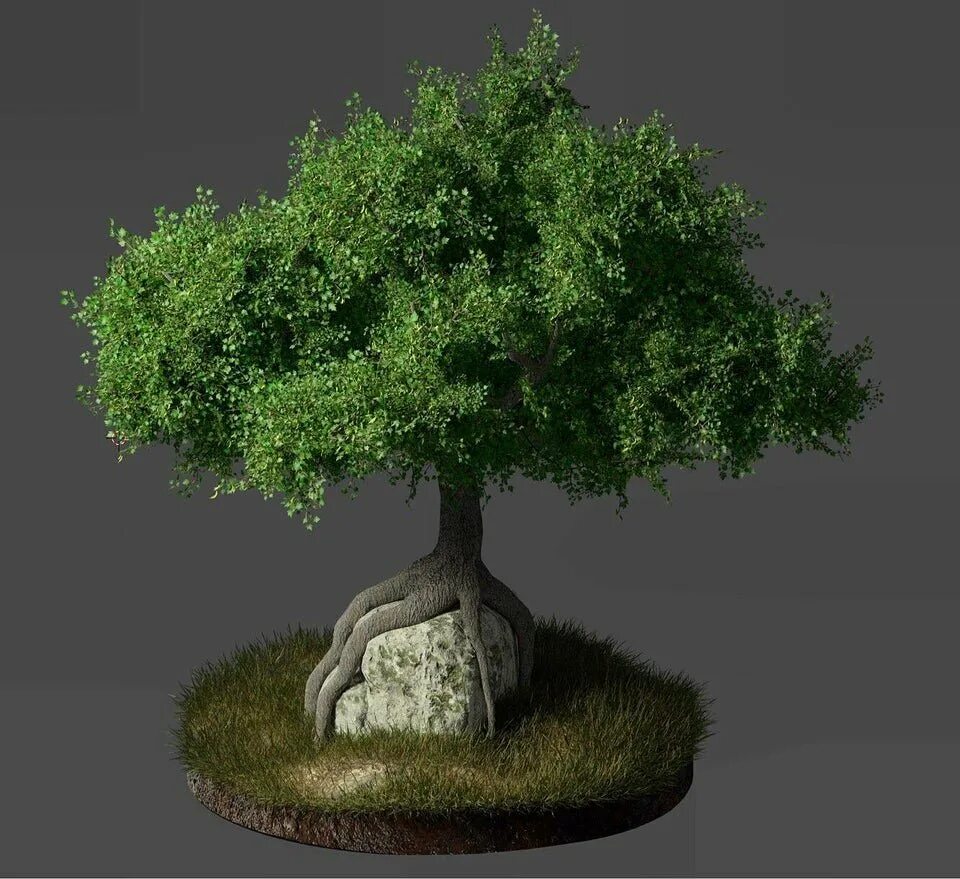 Как сделать дерево в блендере. Кустарник в blender. растение в горшке blender. дерево с большими ветками blender. как создать дерево в blender.
