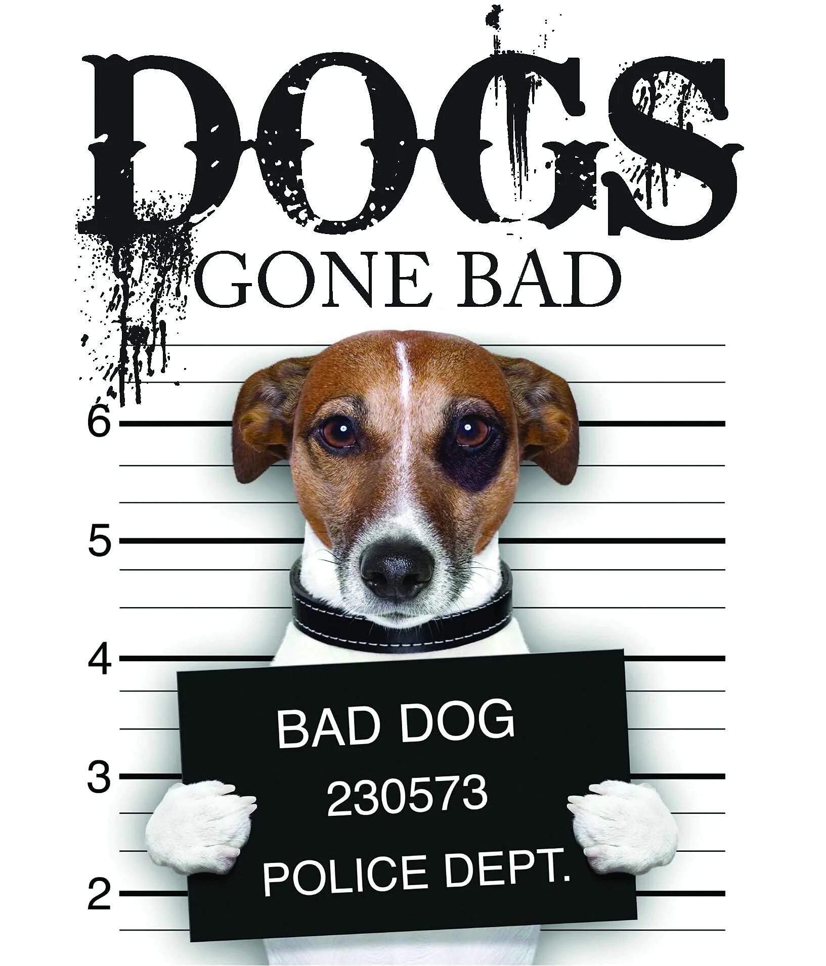 Gone dogs. Собаки bad dog. Doggone dogfight. Собаки в голливуде. Gone dogs.