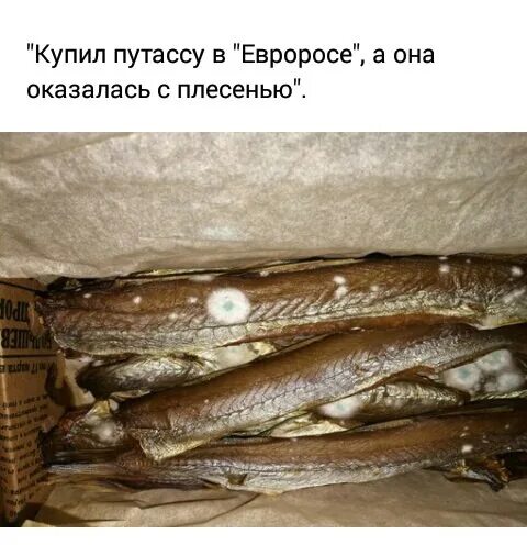 Сколько варить путассу по времени. Икра путассу. строение путассу. путассу костлявая. путассу строение внутри.
