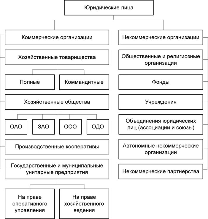 Различия между коммерческими. Схема некоммерческие юридические лица. Составьте схему некоммерческие юридические лица право 10-11 класс. Виды коммерческих юридических лиц таблица. Составьте схему некоммерческие юридические лица.