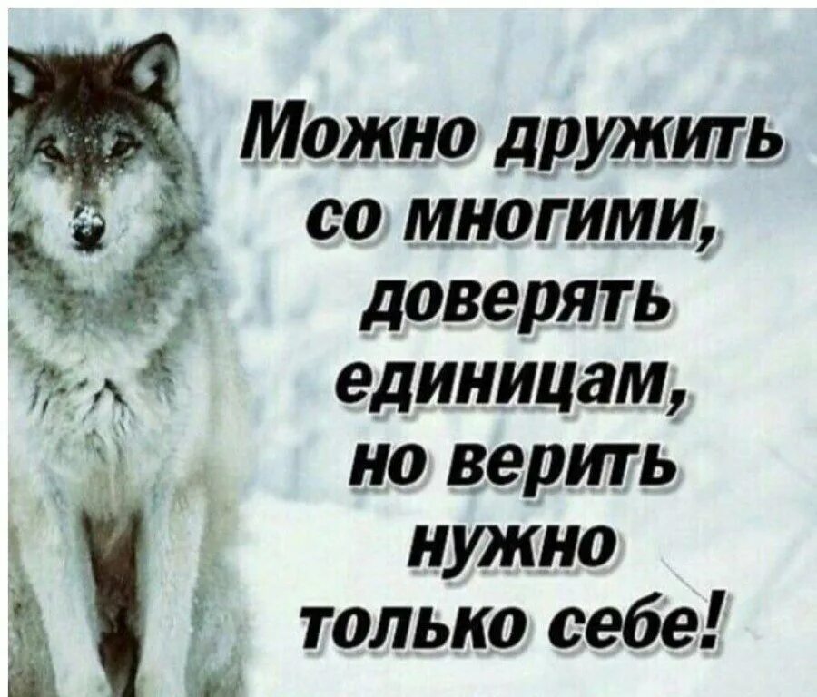 Верить только себе цитаты. В этой жизни надо доверять только себе. Верь только себе цитаты. Нельзя доверять людям цитаты.