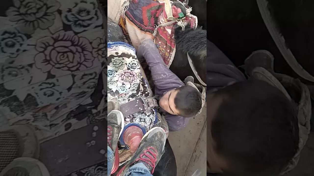 запали точики. зино бо зани бегона. аруси нодухтар. фотима машрабова. узбек в парке.