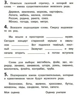 Проверочная работа 3 класс род имени существительного