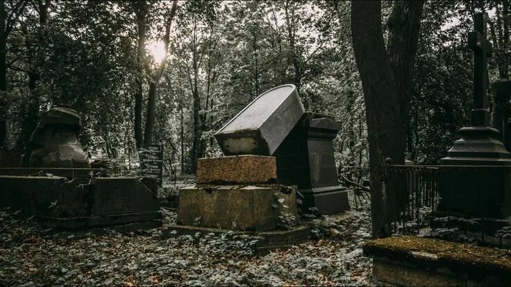 Невское кладбище в санкт петербурге