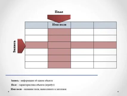 Что такое поле и запись