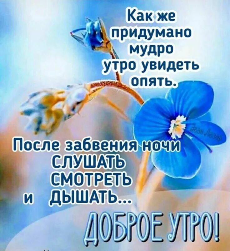 Доброе утро видел. Мудрость утра. Доброе утро апрель. Картинки с добрым утром умные мысли. Открытки с добрым утром от Алиски.
