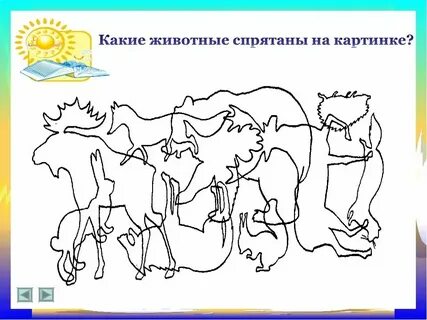 8 поисковых запросов на тему дикие животные