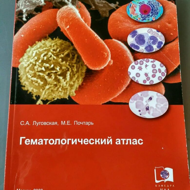 Луговская почтарь гематологический атлас. Луговская атласы. Гематологический атлас луговская. Лабораторная гематология луговская. Атлас по гематологии.