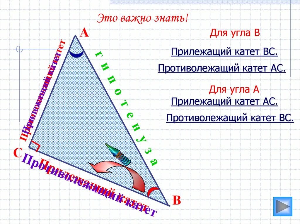 13 катет противолежащий углу