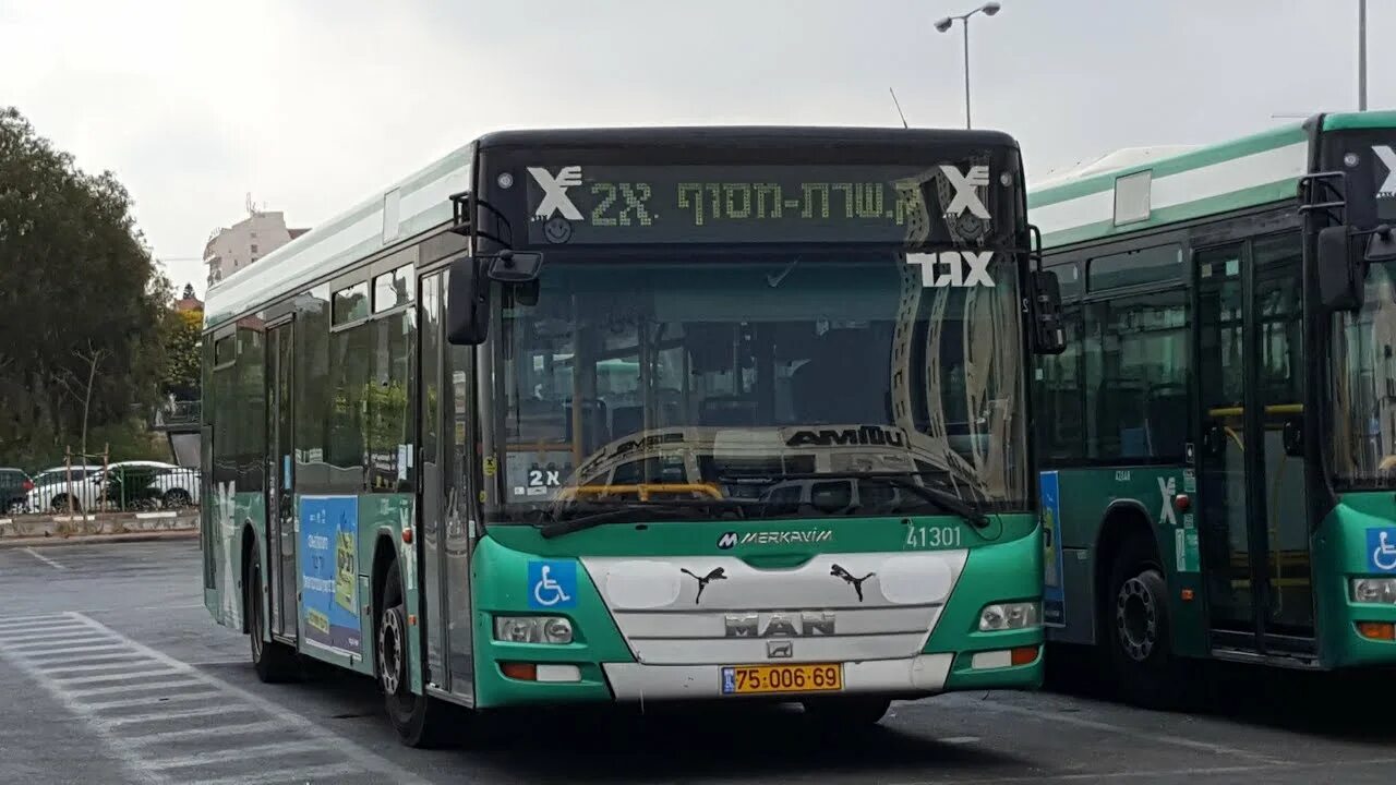 Автобус эгед. Egged bus. Эгед таавура. Автобусы вайт моторс. Эгед таавура.