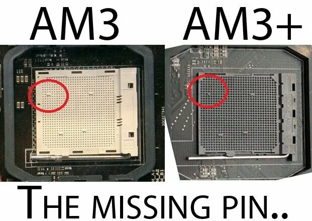 Можно ли проц. Распиновка am3 сокета. сокет ам3 и ам3+. socket am3+ процессоры. socket am3+ и am3 совместимость.