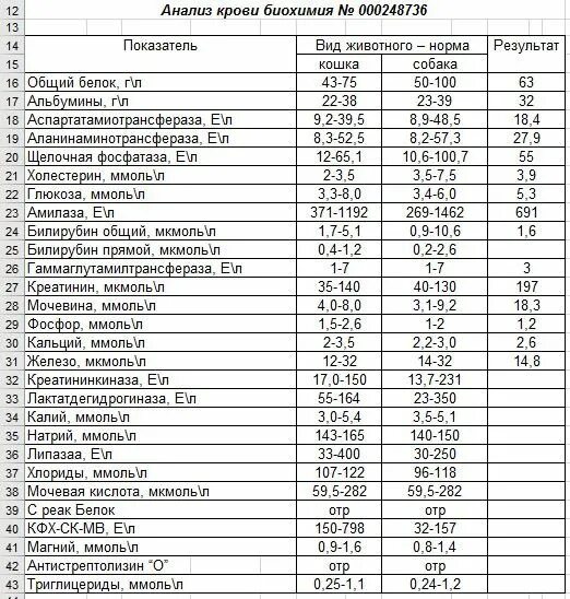 Общий белок форум. Журнал учета биохимических анализов. Нормы белкового питания биохимия. Нормы белка в питании биохимия. Таблица биохимического питание.