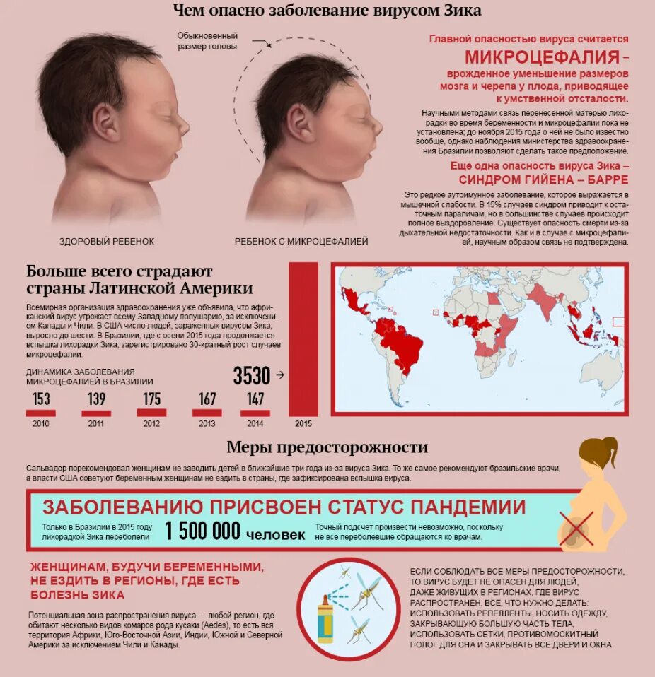 К опасным заболеваниям могут приводить. Вирус Зика клиническая картина. Вирус Зика микроцефалия. Лихорадка Зика симптомы. Лихорадка Зика пути передачи.