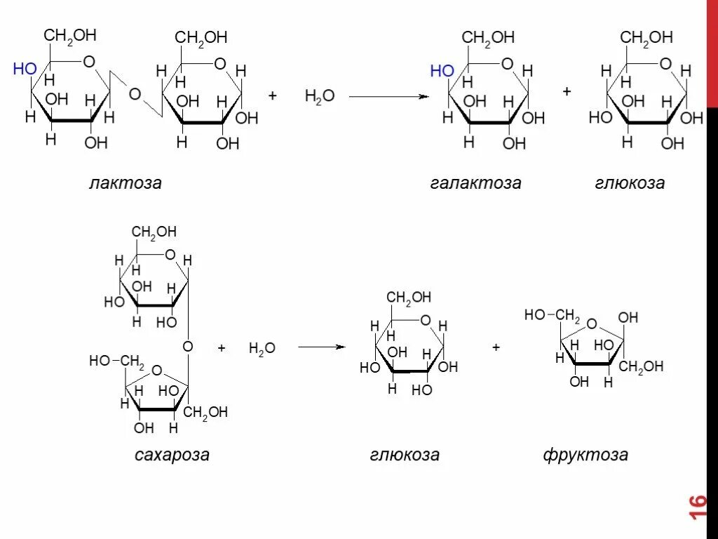 Формула Глюкозы лактозы фруктозы. Сахароза из Глюкозы и фруктозы. Сахароза вода Глюкоза фруктоза. Формула лактозы , Глюкозы и галактозы.
