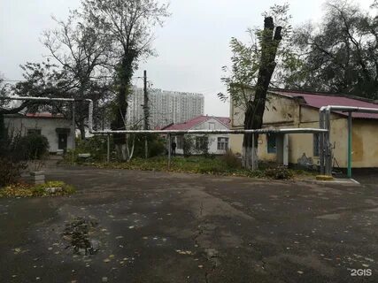 Детская кожно венерологическая