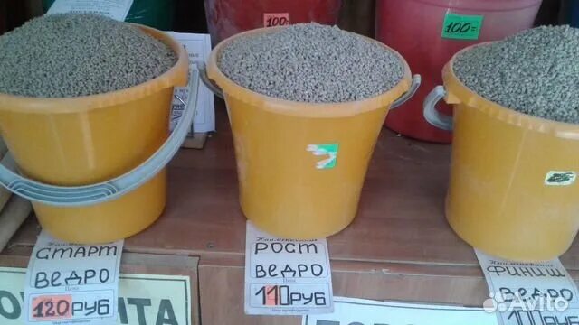 Ведро с зерном. Зерно пшеницы в ведре. Пшеница в ведре. Ведро пшеницы и ведро отрубей. Зерно пшеницы в ведре.