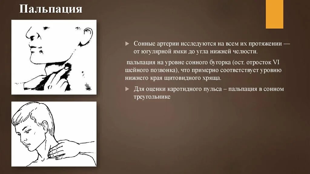 Сонная артерия где находится как нащупать. Пальпация сонной артерии. Пальпация общей сонной артерии. Пальпация височной артерии.