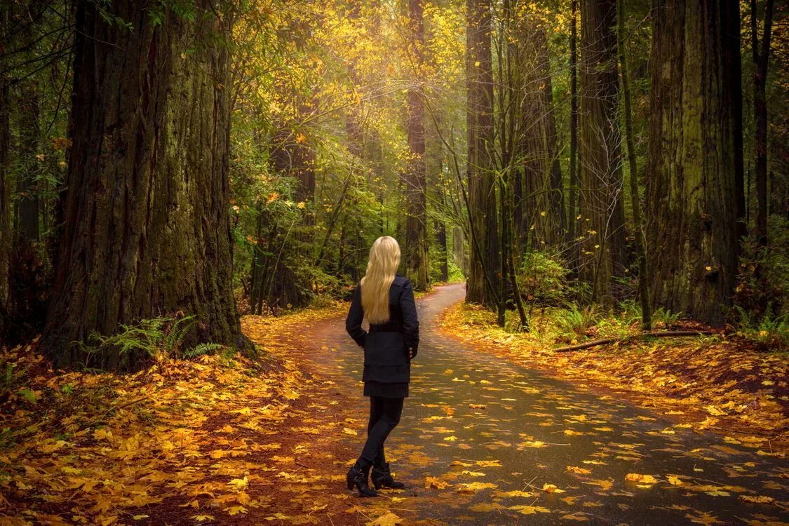 Мартин кюн модель. Блондинка в лесу. Блондинка девушка лес. Блондинка в лесу. Красивые блондинки на природе.