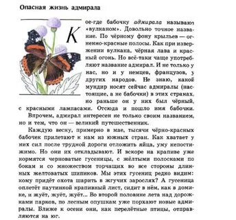 Рассказ 1 бабочки 2 класс