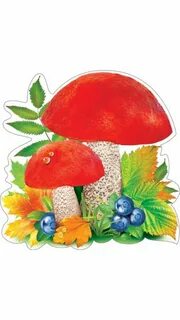 Грибы ягоды детский сад