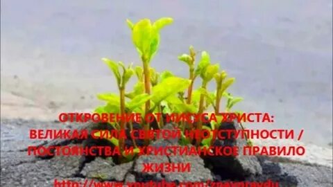 Великая сила жизни