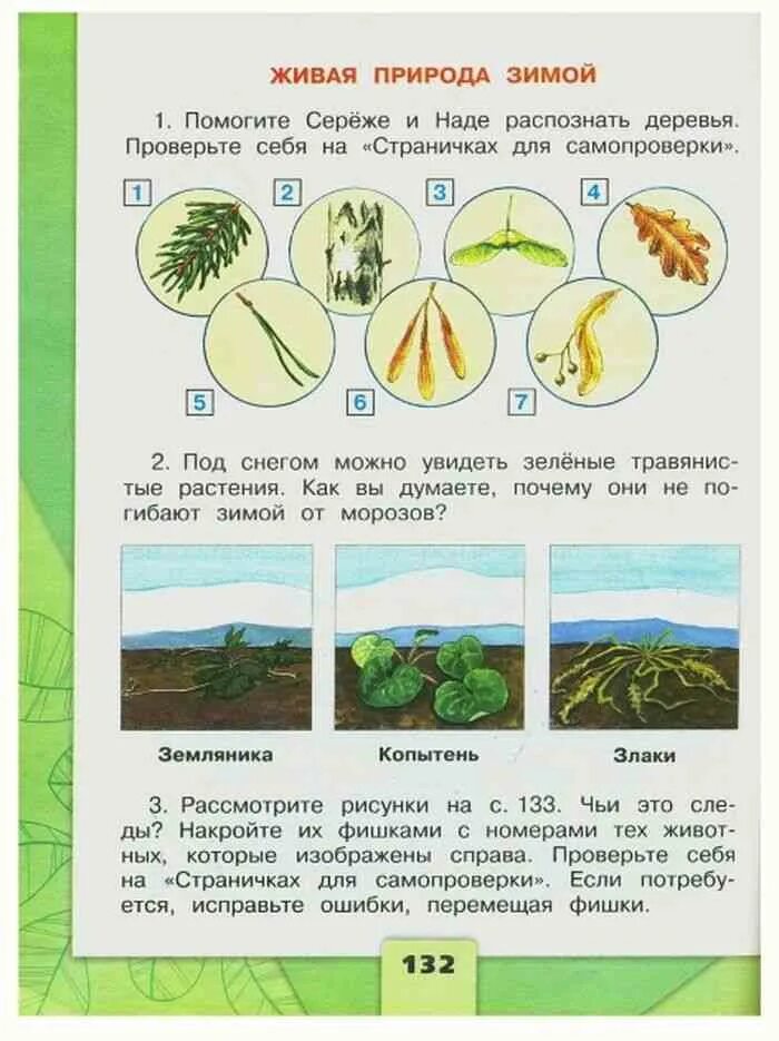 Окружающей 2 класс 1 часть ответы. Окружающий мир 2 класс. Окружающий мир 2 класс учебник 1 часть. Окружающий мир 1 класс 2 часть. Учебник окружающего мира 2 класс 1 часть.