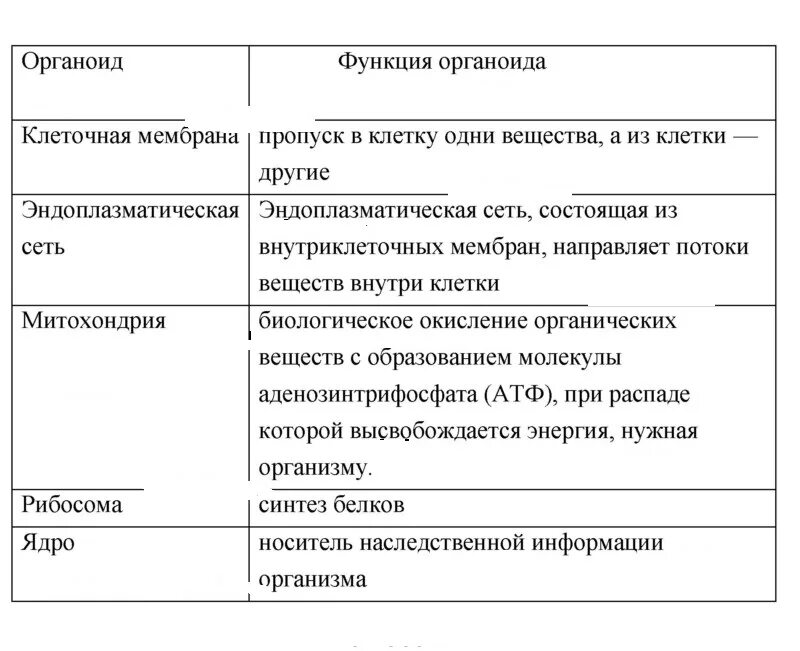 Какую функцию выполняют клеточные органоиды заполните таблицу. Функции органоидов клетки таблица. Органоиды строение и функции таблица. Органоиды клетки и их функции таблица.