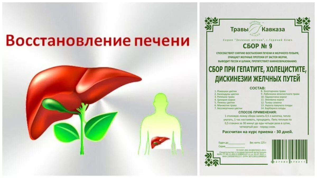 Полезно для печени при гепатите. Восстановление печени. восстанавливающий печень.