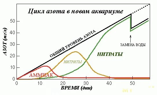 Аммиака нитритов нитратов. Азотный цикл в аквариуме график. Схема азотного цикла в аквариуме. График азотного цикла в новом аквариуме. Запуск аквариума азотный цикл.