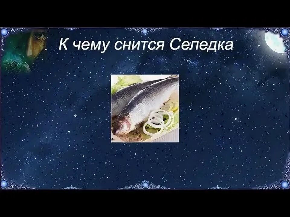 Сонник есть соленые. К чему снится селедка. К чему снится селедка женщине. К чему снится рыба селедка. К чему во сне селедка женщине.