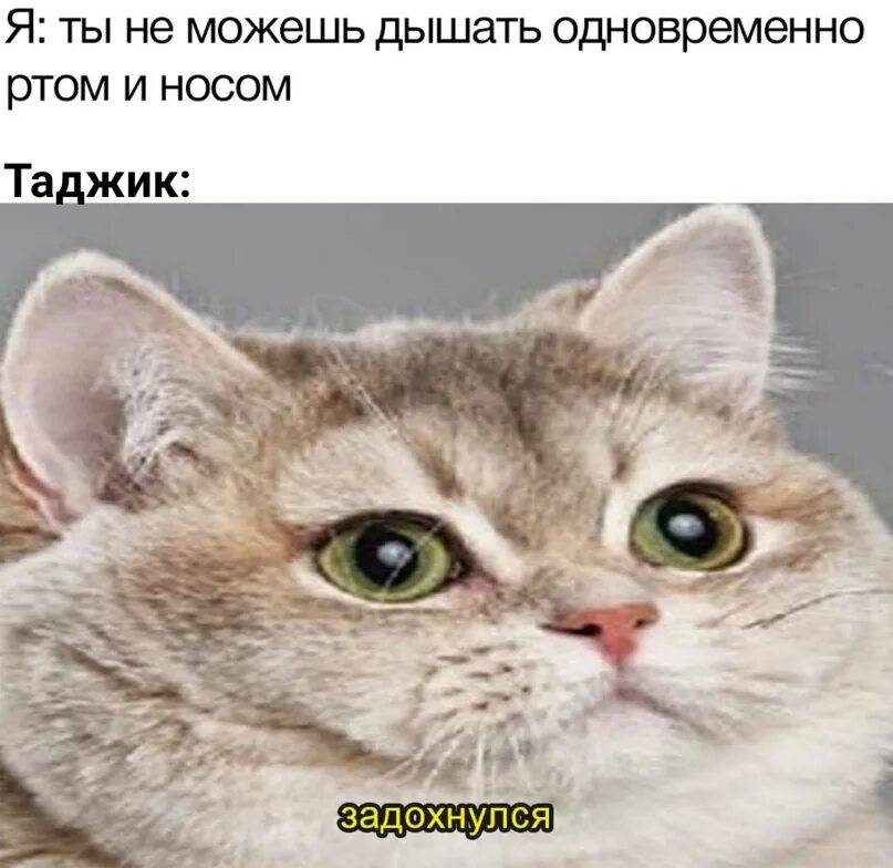 Обеими ноздрями
