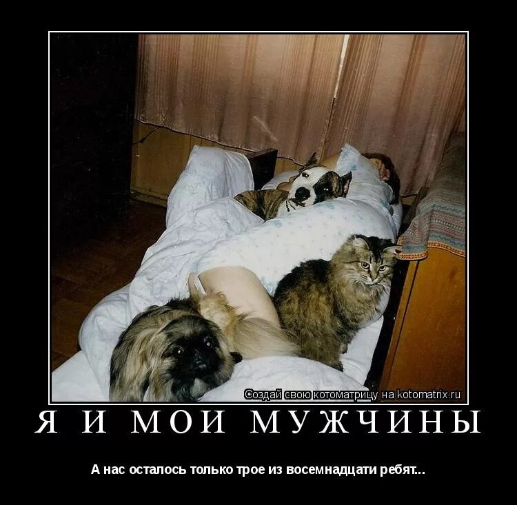 Лобное место дом. С пельменями нельзя куда ты арбуз тащишь. Трепетная нежность. Душевной теплоты. Наша постель уже не помнит нас счастливыми.