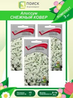 Алиссум снежный ковер на рассаду