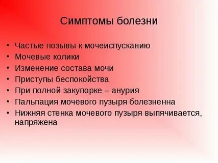 Позывы к мочеиспусканию у кота