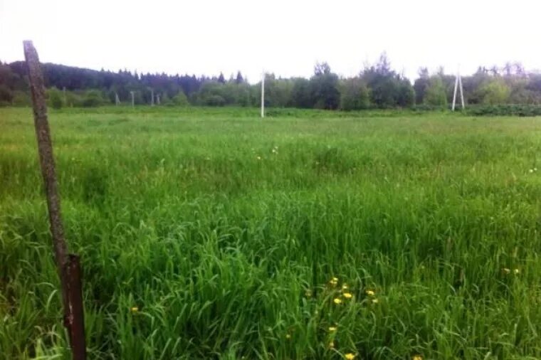 Дмитровский район московской области сайт. Деревня Лупаново Дмитровского района. 20 Соток земли. Участок Дмитровский район. Деревня Пантелеево Дмитровский район.