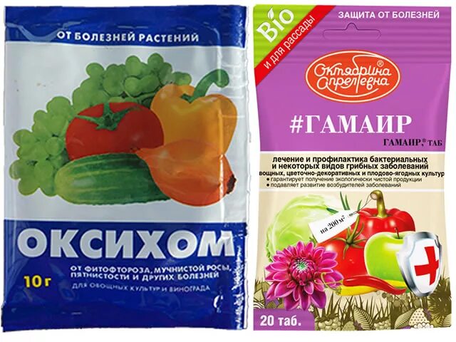 Клубника-земляника 2в1 10гр/2мл (садовый спасатель). Препарат для клубники от болезней и вредителей. От вредителей на клубнике. Биофунгицид клубника 2 в1. Препарат для клубники от болезней и вредителей.