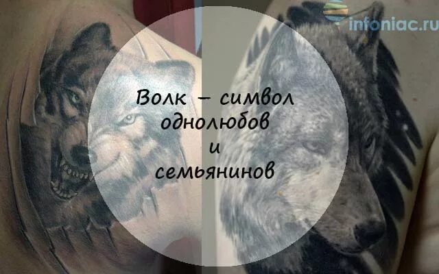 Волк значение символа. Парные тату волки. татуировка волк значение. татуировка однолюб. тату влюбленный волк.