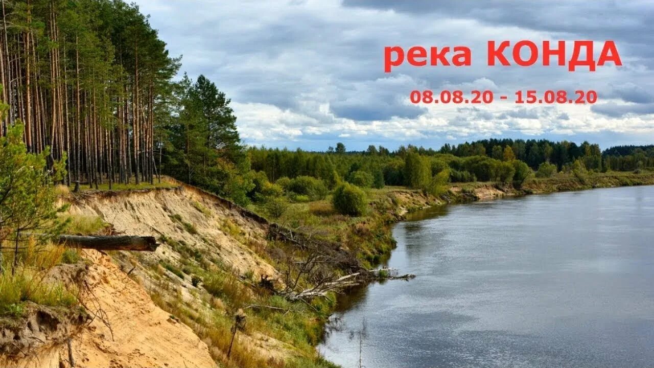 Растения и животные реки конда. Река конда хмао на карте. Река конда урай. Конда 80. Ушья река конда.