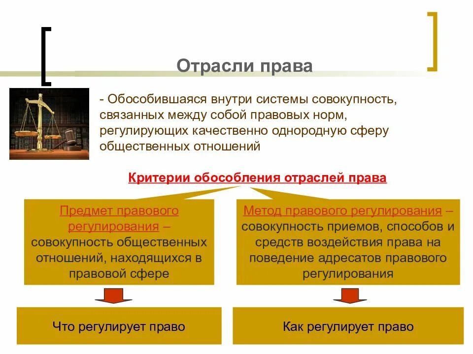 Отрасли правда. Обособленная группа норм регулирующая однородные отношения