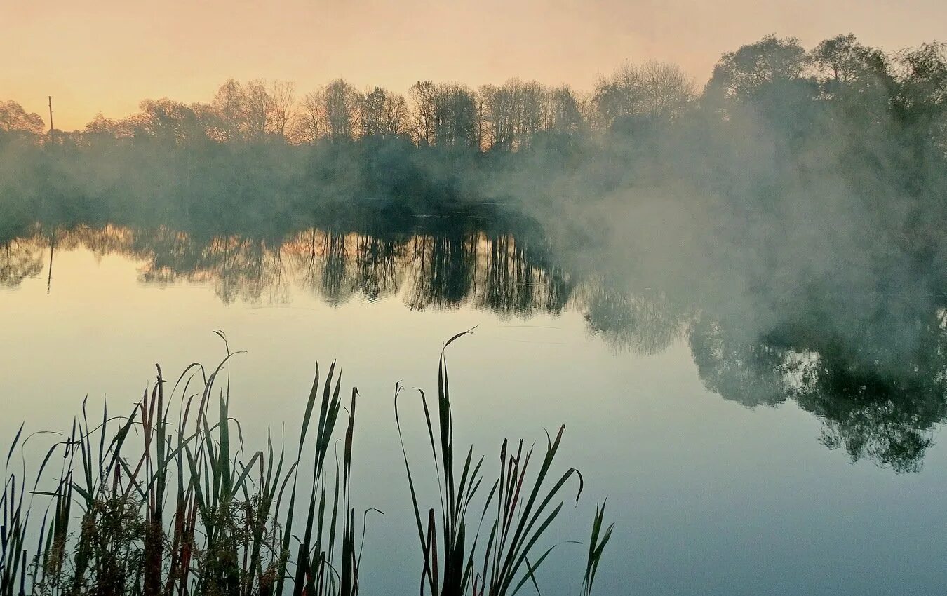Туман над рекой. Туман на реке. Песни над озером туман. Песни над озером туман. Клязьма река заря.
