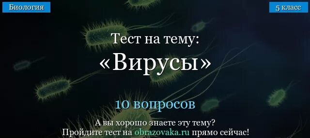 Тест вирусы 5 класс. Тест по биологии вирусы. Тест на тему вирусы. Что такое вирусы тест биология. Тест вирусы 10 класс.