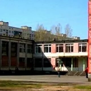 Школа номер 237