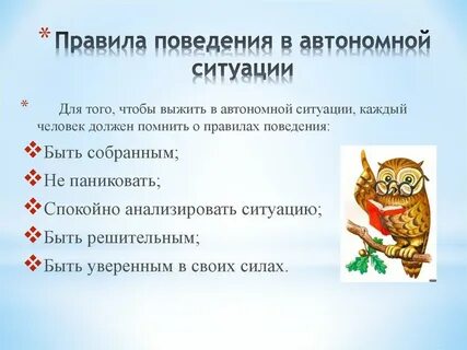 Автономная ситуация