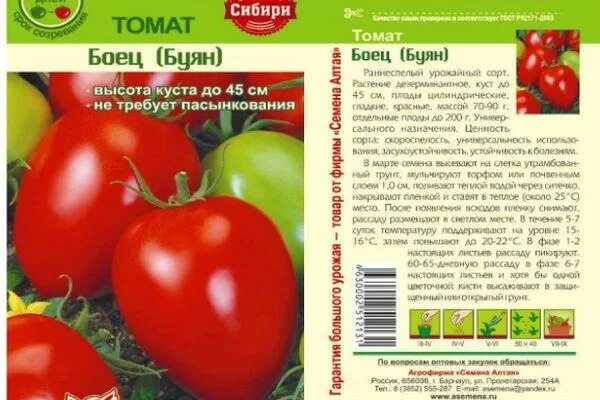 Помидор буян описание сорта фото отзывы садоводов