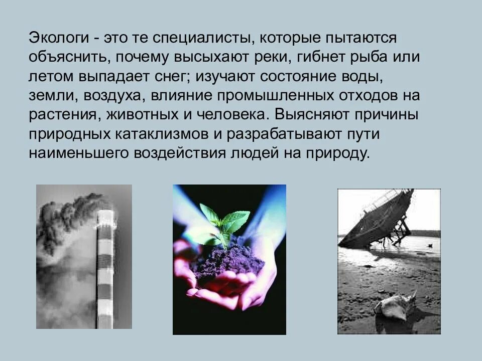 Эколог описание. Профессия эколог презентация. профессия эколог для детей. презентация на тему профессии эколог. о профессии эколога для дошкольников.